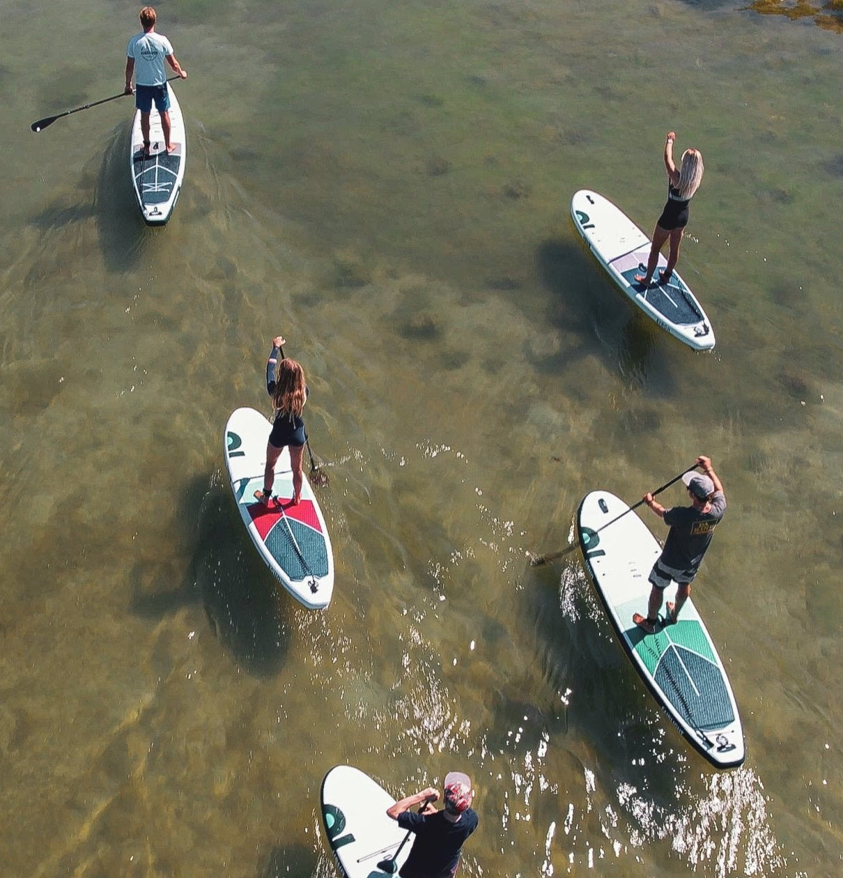 Honu SUP and Paddleboards available at Surf Doctor