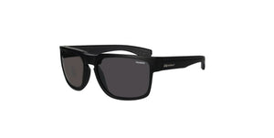 Bomber Smart Bombs Polarized