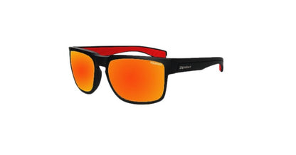 Bomber Smart Bombs Polarized